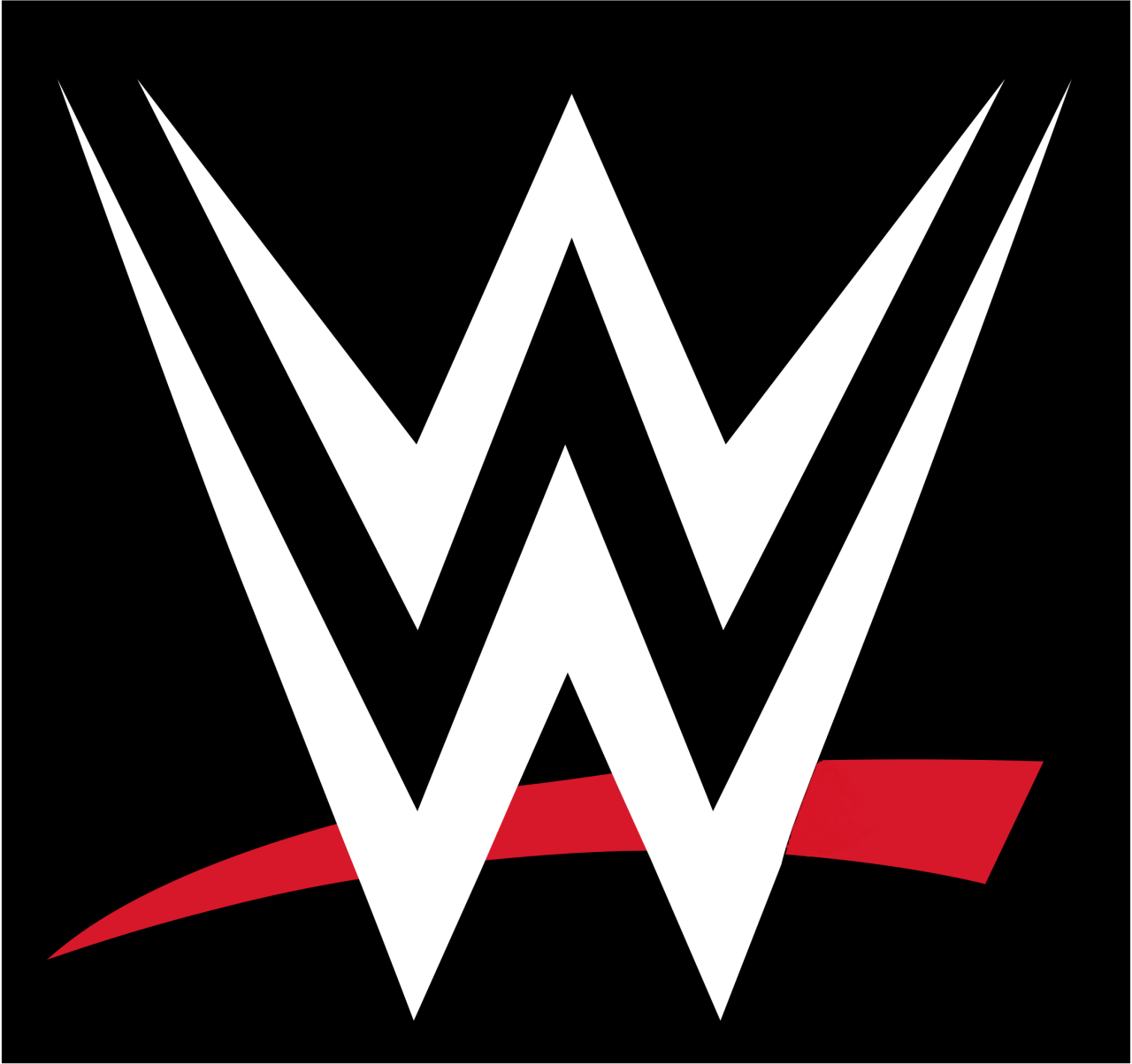 WWE Naomi return plans